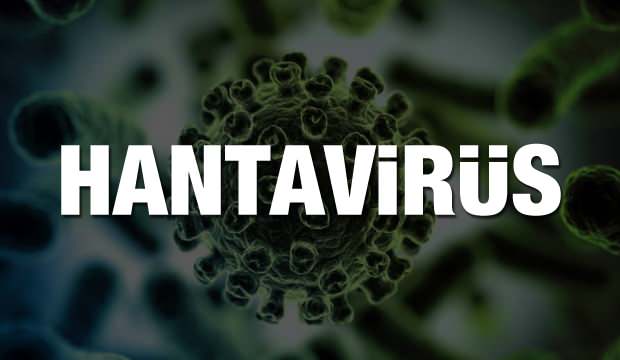 hantavirus_nedir_cinde_ortaya_cikan_yeni_virus_hanta_virusun_belirtileri_1585053451_3651 hantavirüs enfeksiyonu